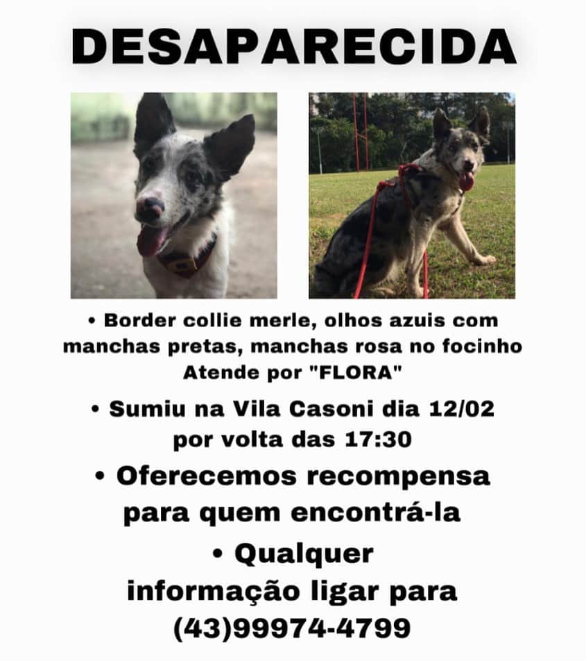 ガブリエル・モラエスさんのインスタグラム (ガブリエル・モラエスgabixmoraes)