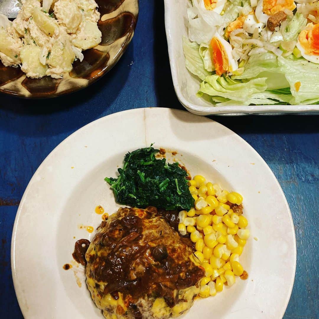 井上荒野のインスタグラム：「夫作。安定の煮込みハンバーグ。やっぱり(私もそうだけど)好物はおいしく作れるよね。サラダは栗原はるみさんレシピだそうです。葱がきいてる。」