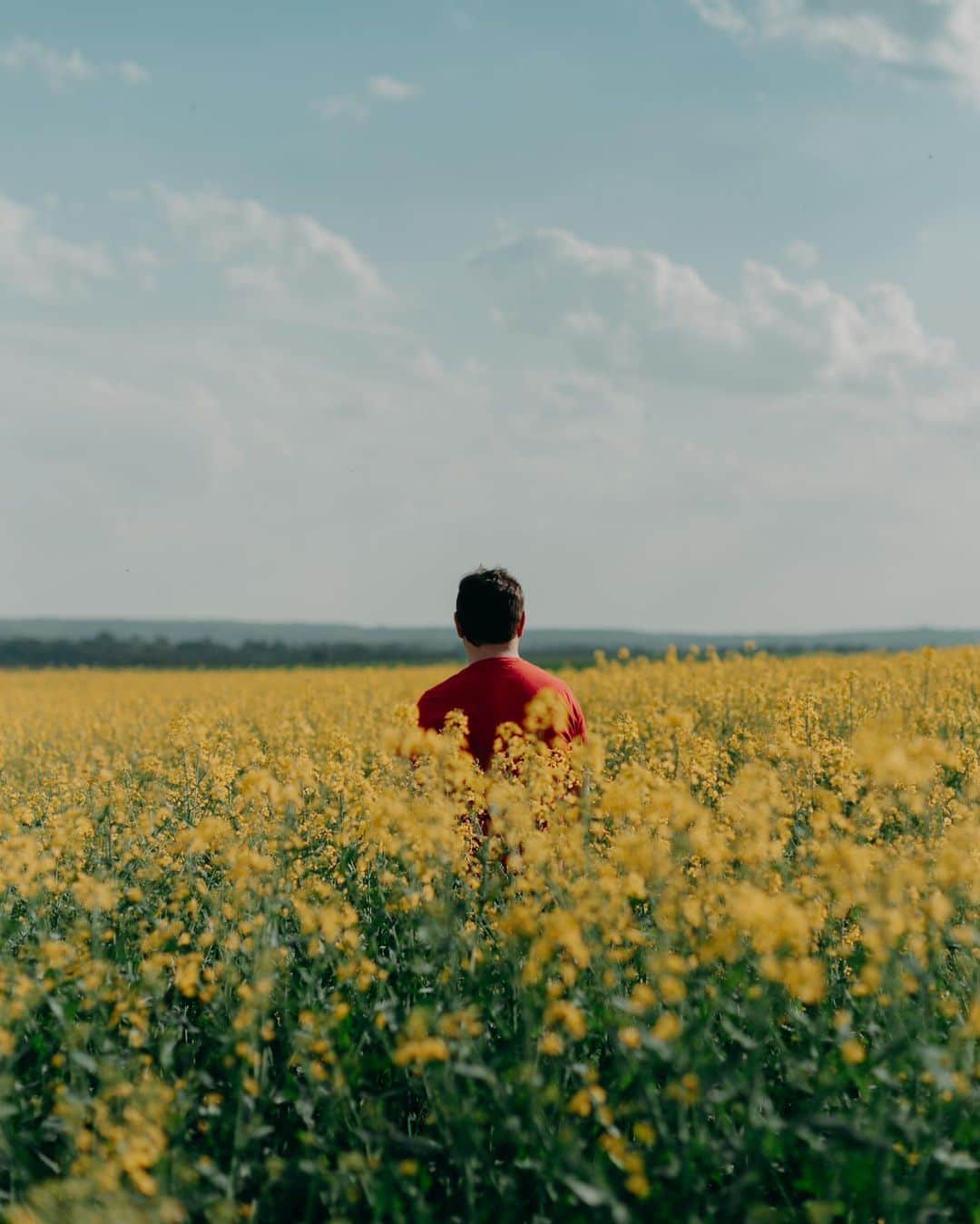 Putri Anindyaのインスタグラム：「Half the world away //   Happy Valentine’s Day. Here’s a flowery image for you all 🌼🌼🌼  Have a great day xx」