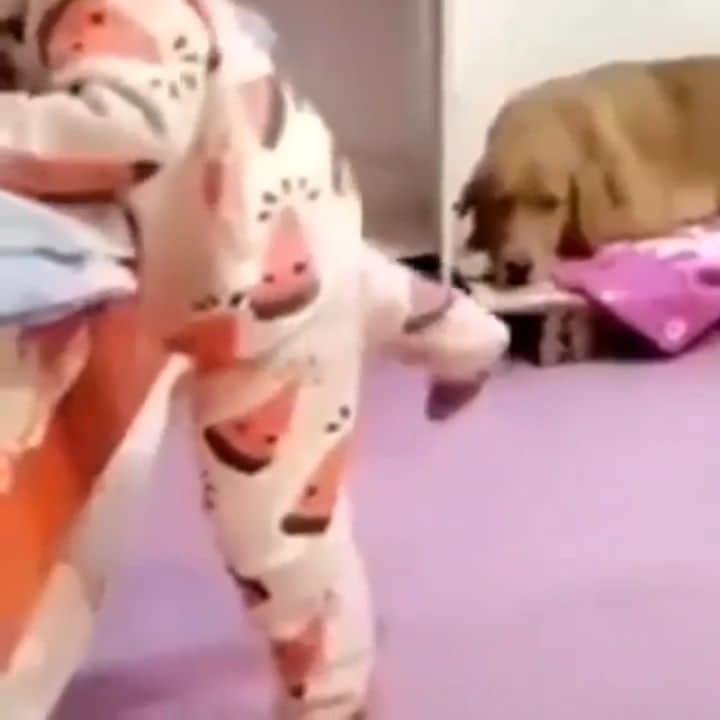 Beautiful Nature & Animalsのインスタグラム：「Little help 🐶😍🐶 Tag a friend」