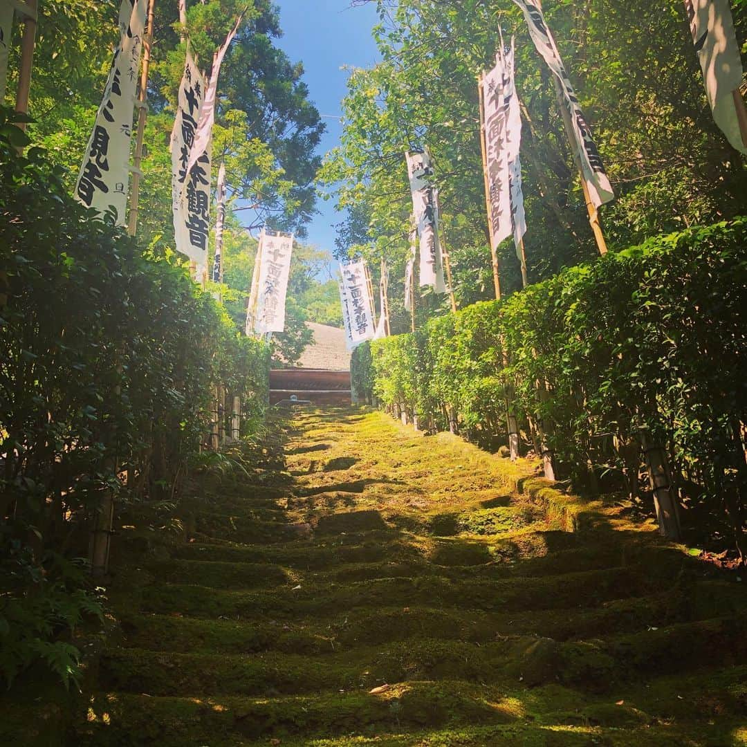 JOJO（ものまね）さんのインスタグラム写真 - (JOJO（ものまね）Instagram)「お気に入りの妙法寺(杉本寺)✨ 通称『苔寺』♡ . 個人的に神様に1番近付ける場所で お気に入りな場所の1つ✨ . 夏に行くのは初めてで辿り着く前に 焼け死ぬかと思った🤣笑 . 前回は『神無月』に行ってしまい この日はコロナで本殿には上がれず^^; . お会い出来ず残念でした( ๑´•ω•`๑) 仕方ない😩 . また本殿に上がれる日が来ますよぉ〜に🙏☺️✨ .  #jujuのそっくりさんjojo #御朱印 #御朱印帳 #御朱印ガール #御朱印巡り #御朱印集め #御朱印集めてる人と繋がりたい #御朱印好き #御朱印収集 #御朱印めぐり #限定御朱印 #御朱印女子  #御朱印帳集め #御朱印帳巡り #御朱印さんぽ #御朱印拝受 #御朱印スタグラム #御朱印好きな人と繋がりたい #御朱印の旅 #御朱印倶楽部 ♪#御朱印めぐりの旅 #御朱印帳ガール #御朱印帳集め ✨#神社 #神社巡り #神社好きな人と繋がりたい #神社仏閣 #ご利益 #妙法寺 #苔寺 #杉本寺 ⛩✨」2月14日 20時34分 - jojo_monomane