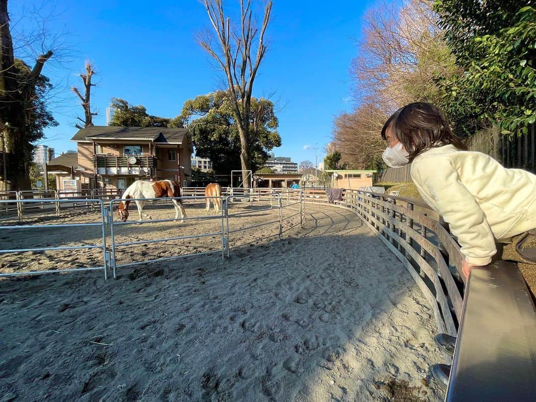 龍円愛梨さんのインスタグラム写真 - (龍円愛梨Instagram)「動物好きのニコ。 old macdonald had a farm 歌ってました。  #ダウン症　#T21」2月14日 21時09分 - airi_ryuen