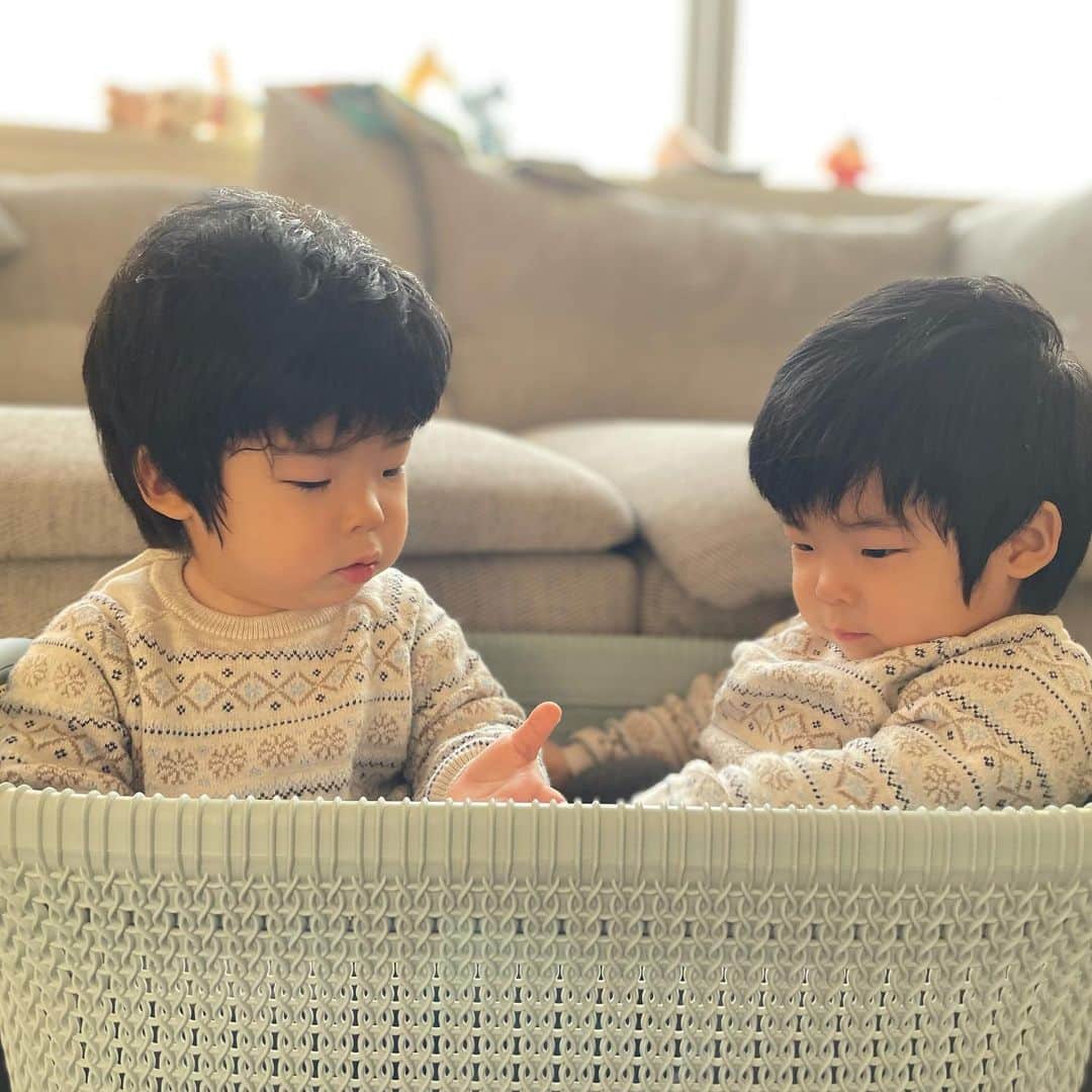 SHOCOさんのインスタグラム写真 - (SHOCOInstagram)「happy valentine💕女子からチョコとかもらって帰ってくる日が来るかな。どっちかが多くもらったりするのかな。 #双子 #双子コーデ  #双子あるある　#ベビー服　#twins #twinscode #twinstagram #twinsboys」2月14日 21時16分 - kozasho