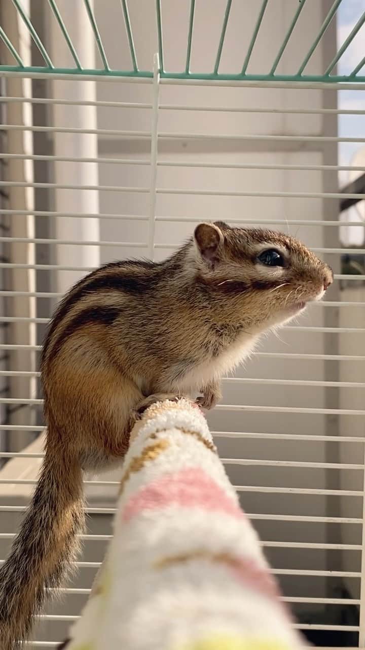 ビッケ & トッドのインスタグラム