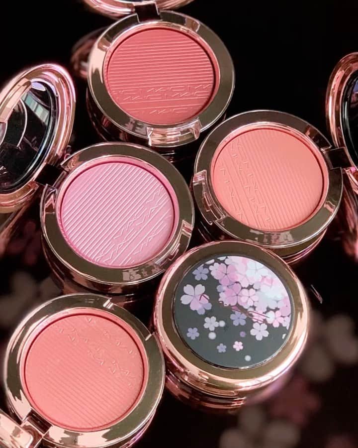 M∙A∙C Cosmetics Japanのインスタグラム：「この春、月の下で #桜 が咲き誇る🌸限定の夜桜パッケージのカラーコレクション💄 詳細をお楽しみに✨ ㅤ #MACBLACKCHERRY *3/4(木) 公式オンライン先行発売 *3/5(金) 全国発売」