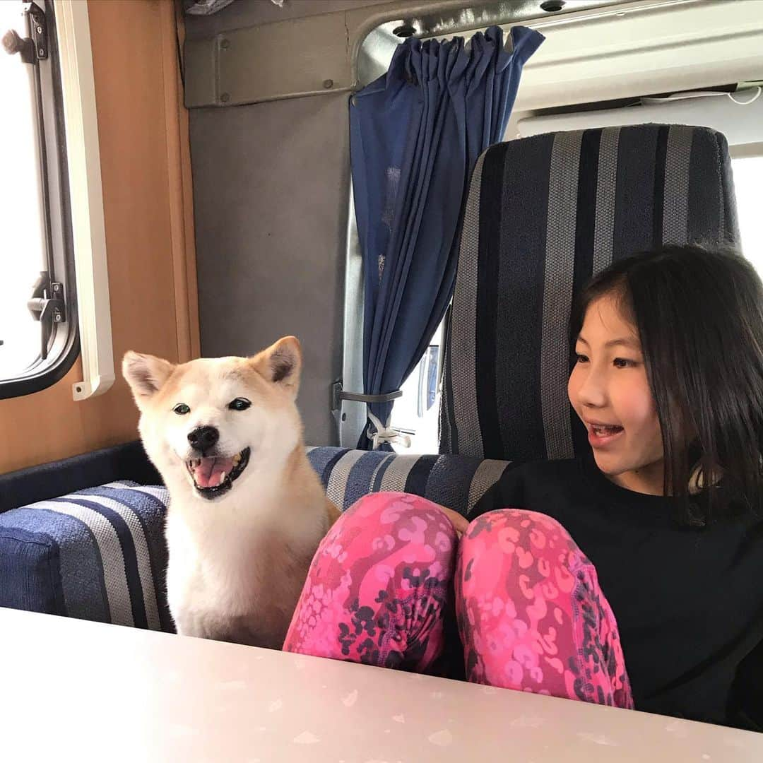 柴犬リリコさんのインスタグラム写真 - (柴犬リリコInstagram)「みんなでお出かけは大好きなリリコさんです🐶🧒🏻👧🏻🧑🏻👨🏻🚐💨 #笑顔のリリコさん  #dethleffs  #dethleffscamper  #camperlife  #キャンピングカー #キャンピングカーのある生活」2月14日 21時23分 - ke_rock_