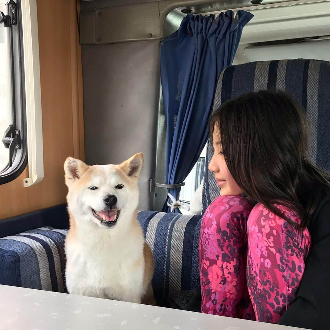 柴犬リリコのインスタグラム：「みんなでお出かけは大好きなリリコさんです🐶🧒🏻👧🏻🧑🏻👨🏻🚐💨 #笑顔のリリコさん  #dethleffs  #dethleffscamper  #camperlife  #キャンピングカー #キャンピングカーのある生活」