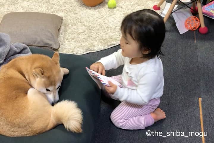 Moguのインスタグラム