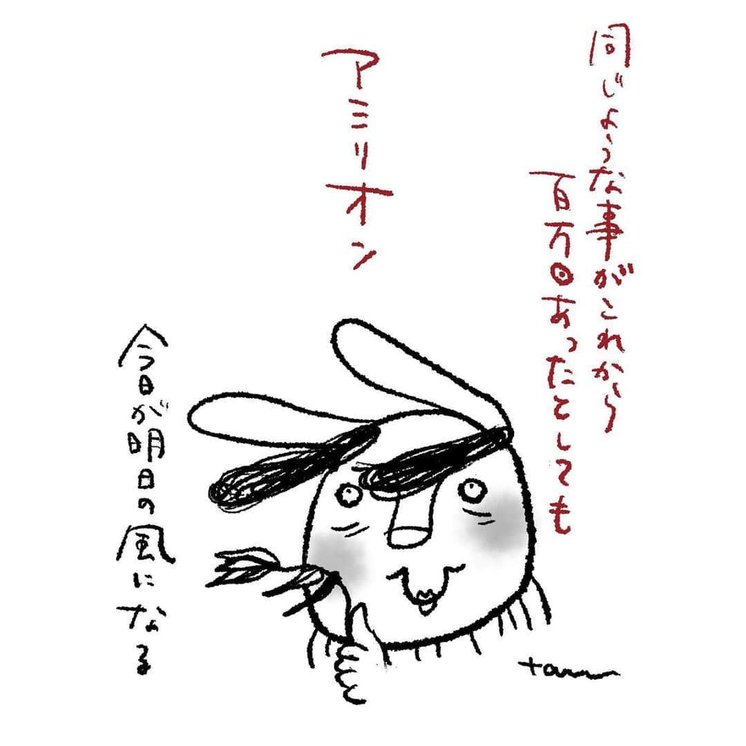 たむらぱんのインスタグラム