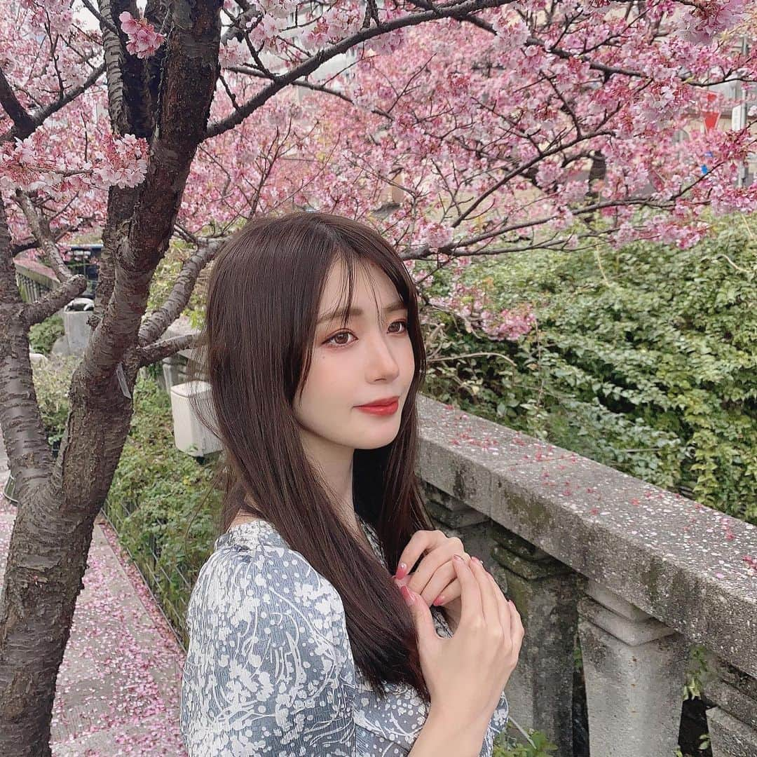 ひよしはなのインスタグラム：「桜ひらひら🌸 #熱海桜」