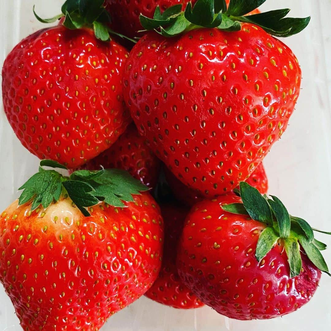 匠ひびきのインスタグラム：「今日は、フルーツサンド作りに挑戦👍  いちご🍓は、大きい方が良いかな？と💕  失敗😅 食べにくい〜 人前で食べれませんわー🙀  バナナも🍌少し入れましたが、ホイップクリームとで、甘くなるので、 いちご🍓とキウイ🥝の方が色合いも綺麗で 今度は絶対にキウイ🥝を入れたいと。  あと、ホイップクリームに抹茶を混ぜて、抹茶クリームいちご🍓サンド作りにも挑戦してみたいなぁーと。  味は、まぁー😘😘😘😊  母にひとつあげて、父は あまりお好きではないので、ランチとティータイムで私が残ったいちご🍓も食べながら頂いちゃいました。  勿論モモちゃんにもいちご🍓をあげたのだけど、好きじゃないみたい。  プイッとひと口でいらないでつーーー🤣  梨とりんご🍎は、大好きなのにね❤️  震源地から近い距離にお住まいの方々、 相当な怖い思いをされたかと思います。  地震による被害、心よりお見舞い申し上げます。」