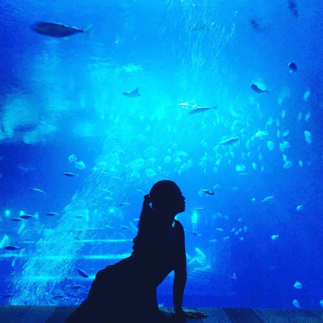 ツナマヨのインスタグラム：「あなたの一生モノになりたい。」