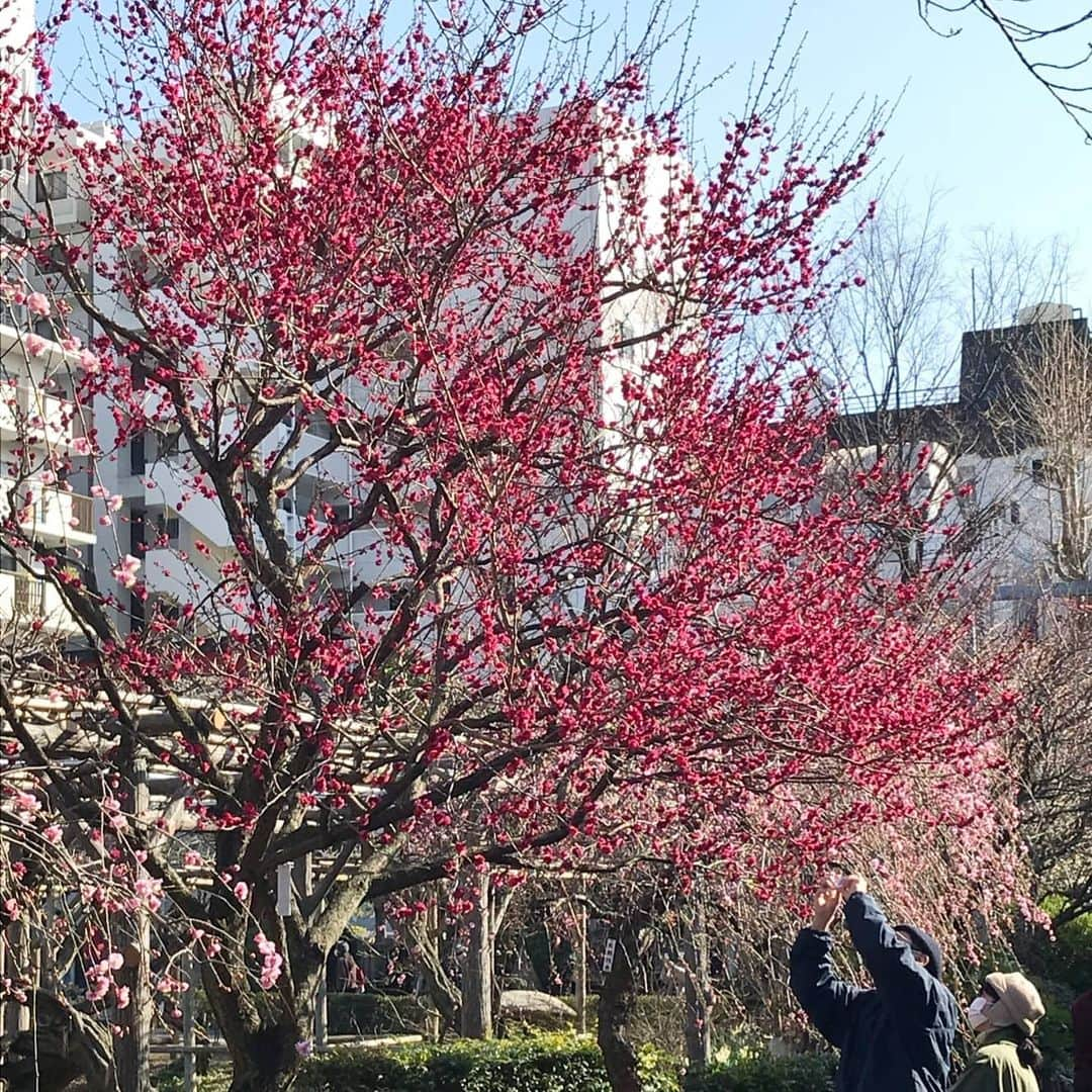 菊田あや子のインスタグラム