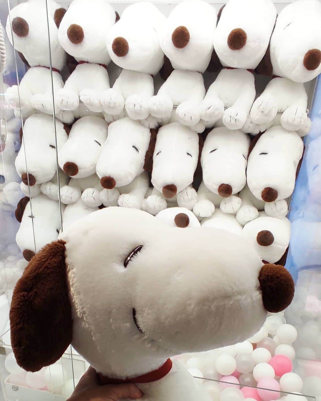 越中睦士さんのインスタグラム写真 - (越中睦士Instagram)「取ったどー！  #SNOOPY #クレーンゲーム #スヌーピー」2月14日 22時37分 - makotokoshinaka