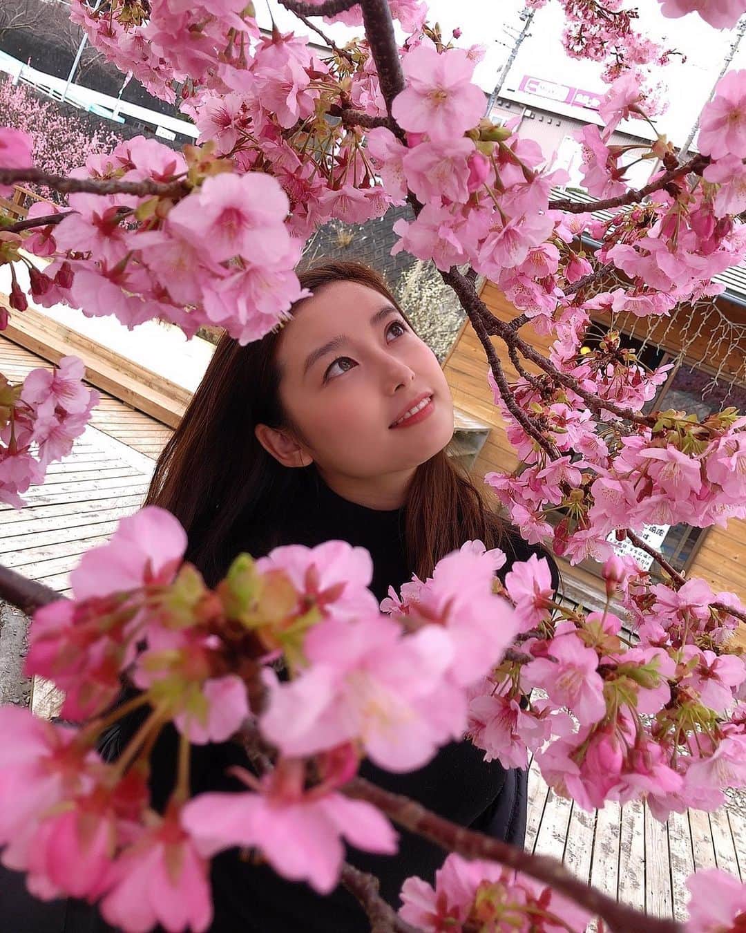 時田愛梨のインスタグラム：「happy Valentine's day💗 桜に埋もれた写真で甘い日をアピール😂♥️ #バレンタイン #桜の季節 #ピンク #綺麗 #桜 #valentineday #happy #cherryblossom #japan #pink」