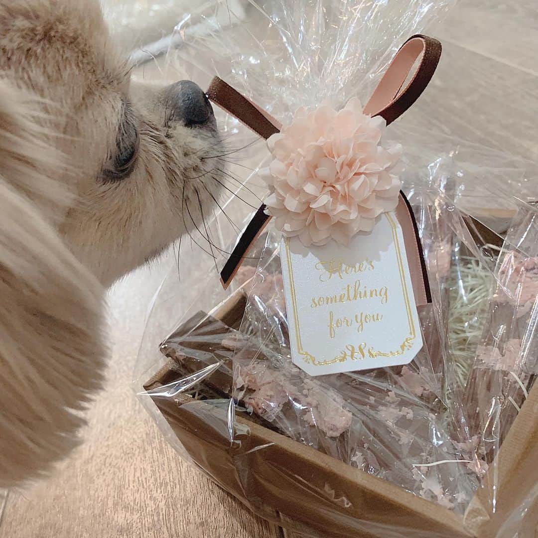 想乃のインスタグラム：「happy valentine’s day❤️ i love you so much more than just to the moon and back🌙  @sa_too222」