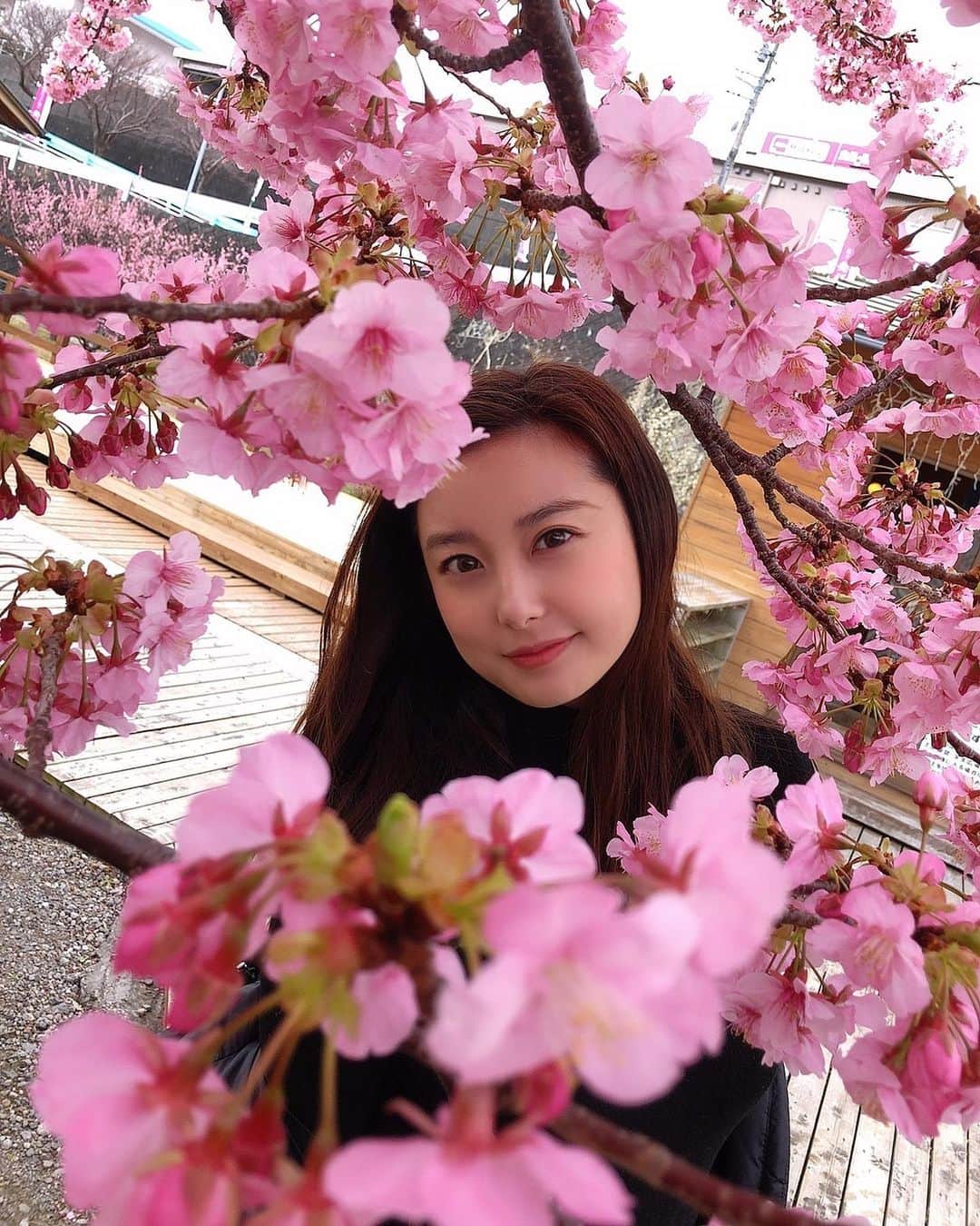 時田愛梨さんのインスタグラム写真 - (時田愛梨Instagram)「happy Valentine's day💗 桜に埋もれた写真で甘い日をアピール😂♥️ #バレンタイン #桜の季節 #ピンク #綺麗 #桜 #valentineday #happy #cherryblossom #japan #pink」2月14日 22時44分 - eri_tokita