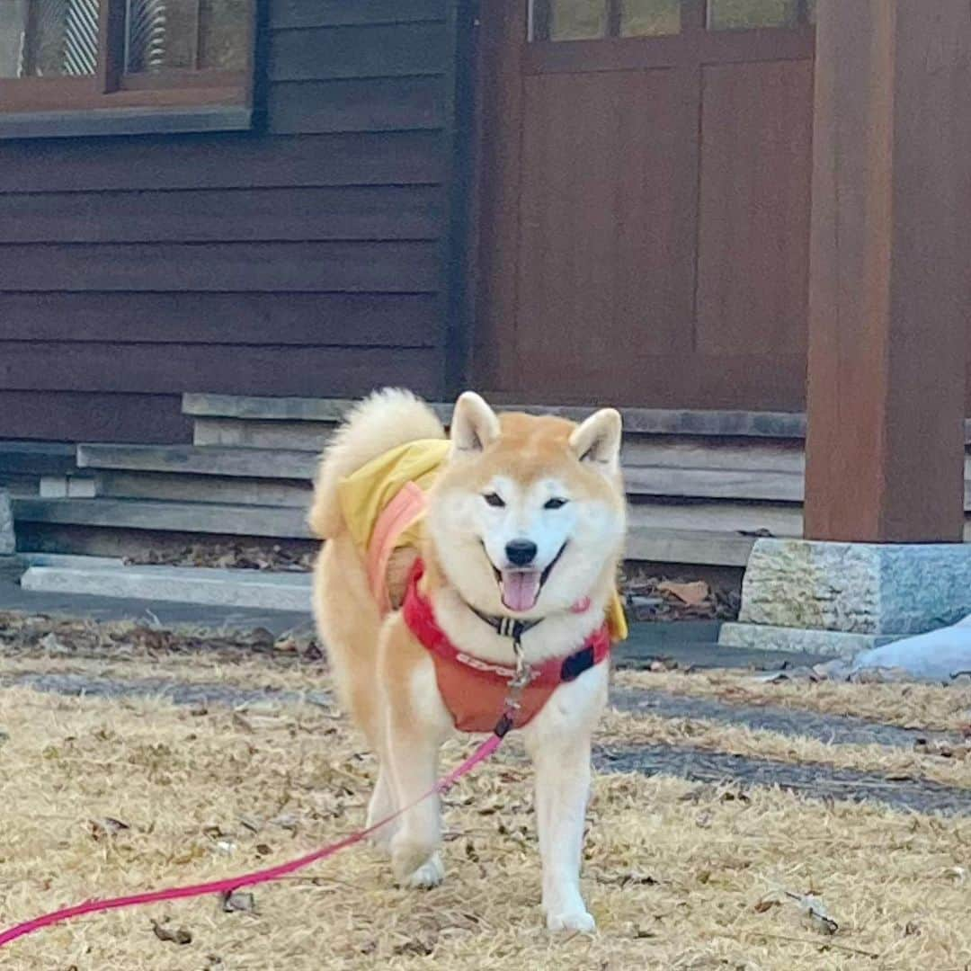 てんパパのインスタグラム