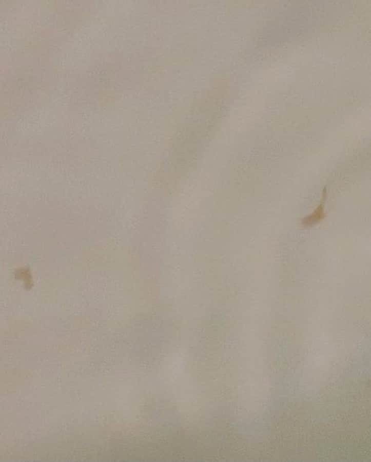 小林アナさんのインスタグラム写真 - (小林アナInstagram)「お風呂に何か浮いてるなと思ったら ササミでした。 なんか いよいよだなって思いました。  #ベストボディジャパンへの道」2月14日 22時56分 - genkobiribiri