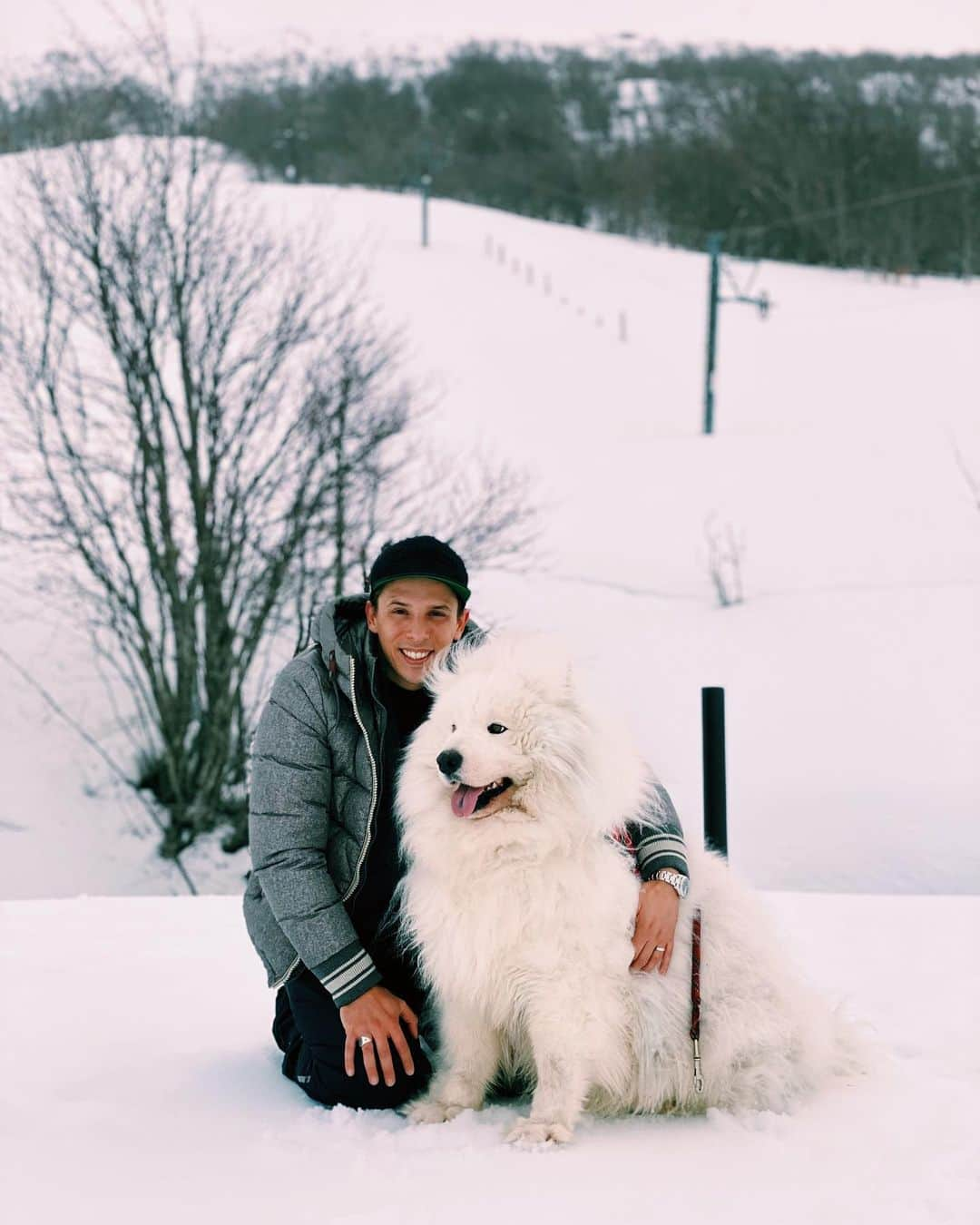 アリゼのインスタグラム：「Joyeuse Saint-Valentin à mes 2 Valentin ♥️#saintvalentin #samoyed #onelove #mybest」