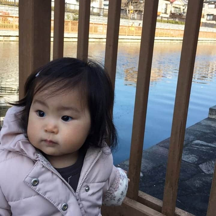 二條満月のインスタグラム：「公園散歩の前に、ちょっと寄り道〜😚✨ 最近はお外に出る機会が増えてきました🙆‍♀️  #1歳 #1月生まれ #女の子ベビー #女の子ママ #成長記録 #公園散歩 #公園フォト #赤ちゃんのいる暮らし#お散歩写真 #親バカ部 #赤ちゃんのいる生活 #新米ママ #スマイル育児 #ままのて#ベビフル」