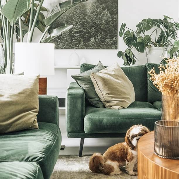 BoConceptさんのインスタグラム写真 - (BoConceptInstagram)「ANY STYLE AS LONG AS IT’S YOURS.  Explore this warm Scandi aesthetic from Joanna (@onceinawhite) and Dawid (@daves_home).  #boconcept #liveekstraordinaer #danishdesign #livingroom #livingroominspo #interiordesign #liveincolor」2月14日 23時50分 - boconcept_official