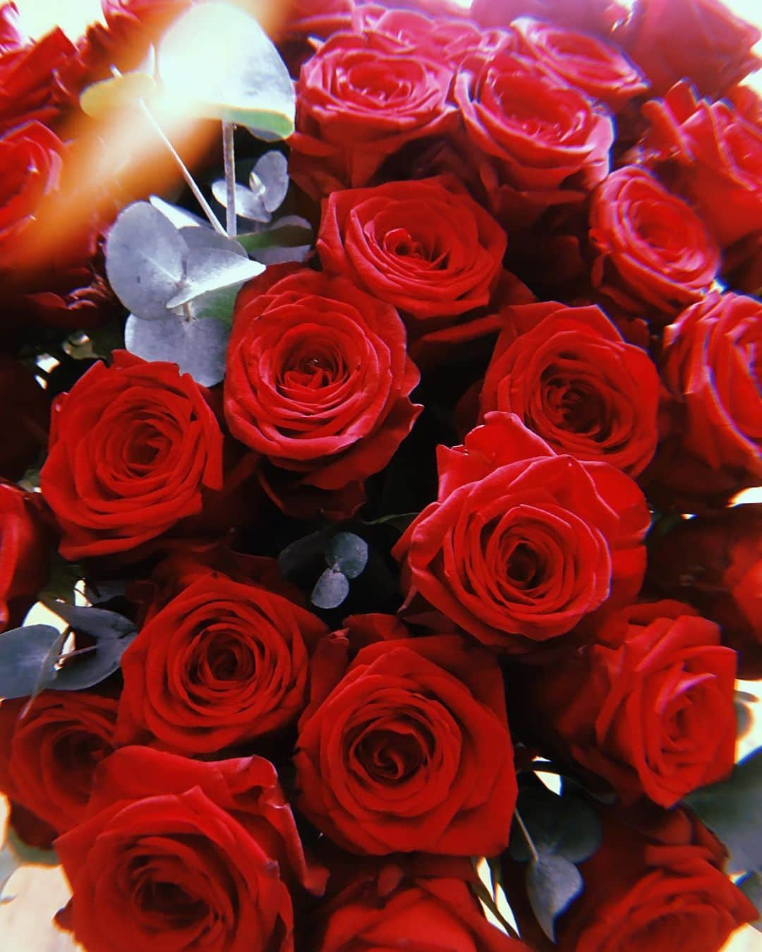ダコタ・ブルー・リチャーズさんのインスタグラム写真 - (ダコタ・ブルー・リチャーズInstagram)「Happy Valentines Day, sweethearts. With love from me and the most beautiful roses I have ever seen 💋」2月14日 23時53分 - dakotabluerichards