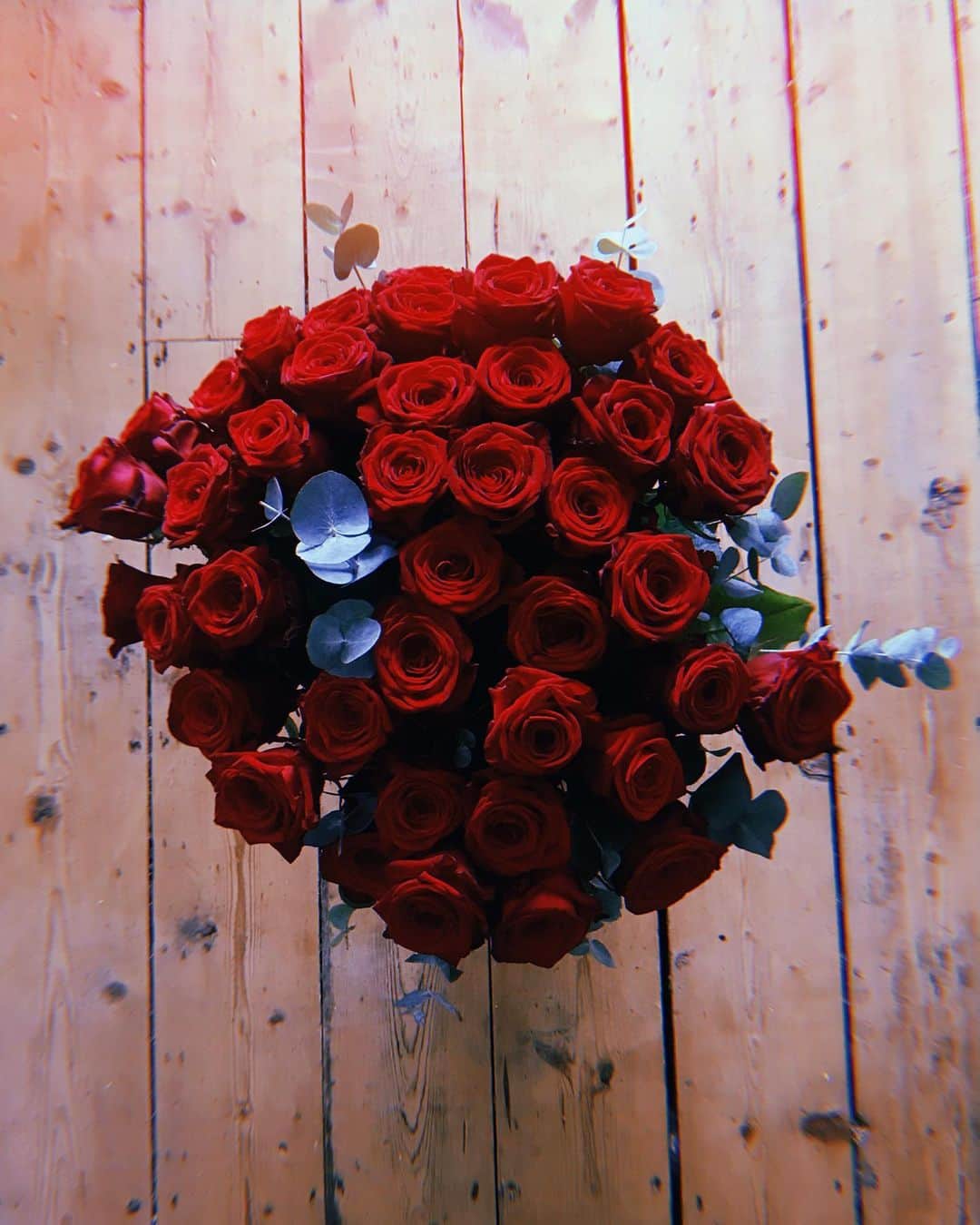 ダコタ・ブルー・リチャーズのインスタグラム：「Happy Valentines Day, sweethearts. With love from me and the most beautiful roses I have ever seen 💋」