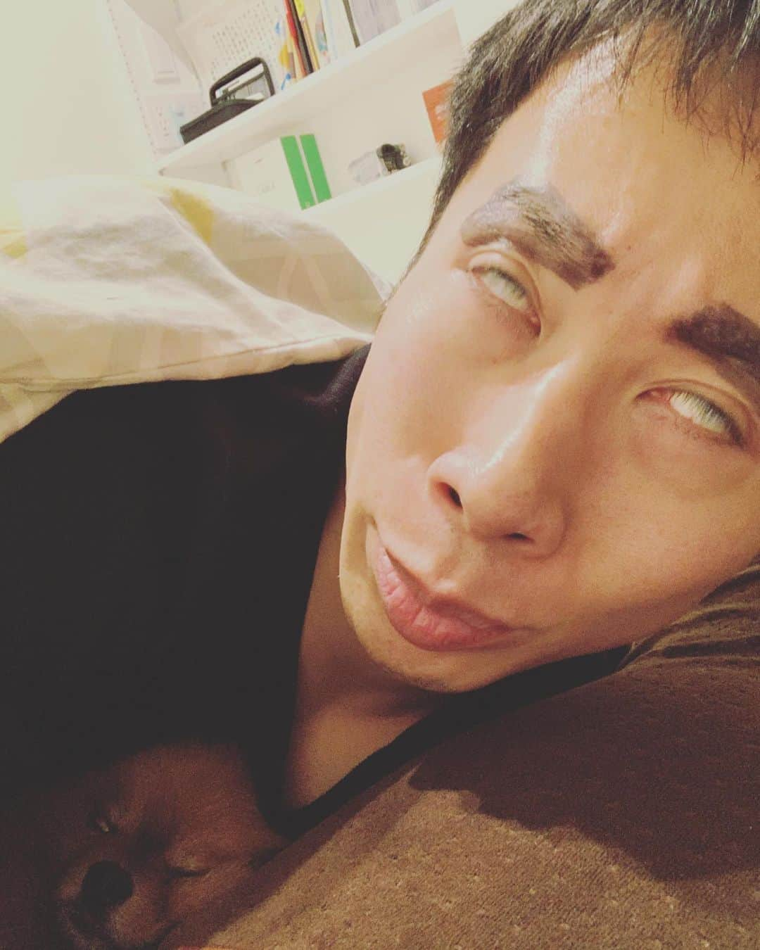 アモーレ橋本さんのインスタグラム写真 - (アモーレ橋本Instagram)「お休みなさい...zzz  #アモーレ橋本  #ポメラニアン #プー太 くん #石原寛子 さん #癒し #犬 #睡眠」2月15日 0時07分 - bravo_hashimoto