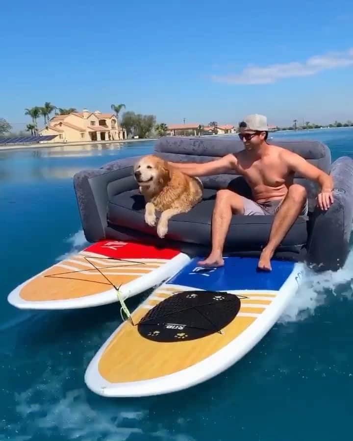 animalsのインスタグラム：「The only Valentine I need 😅 Caption this below! 💙 Video by: @stylwire」