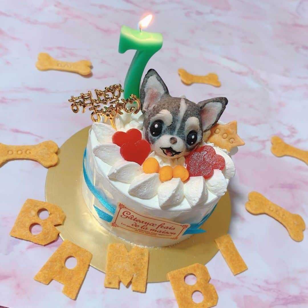 薄井美樹のインスタグラム：「．     オーダーして作ってもらった バンビの誕生日ケーキ🎂💕  送ったバンビそっくりに 作ってくださいましたっ🥺🥺  めっちゃ可愛いっ！！！     ．」