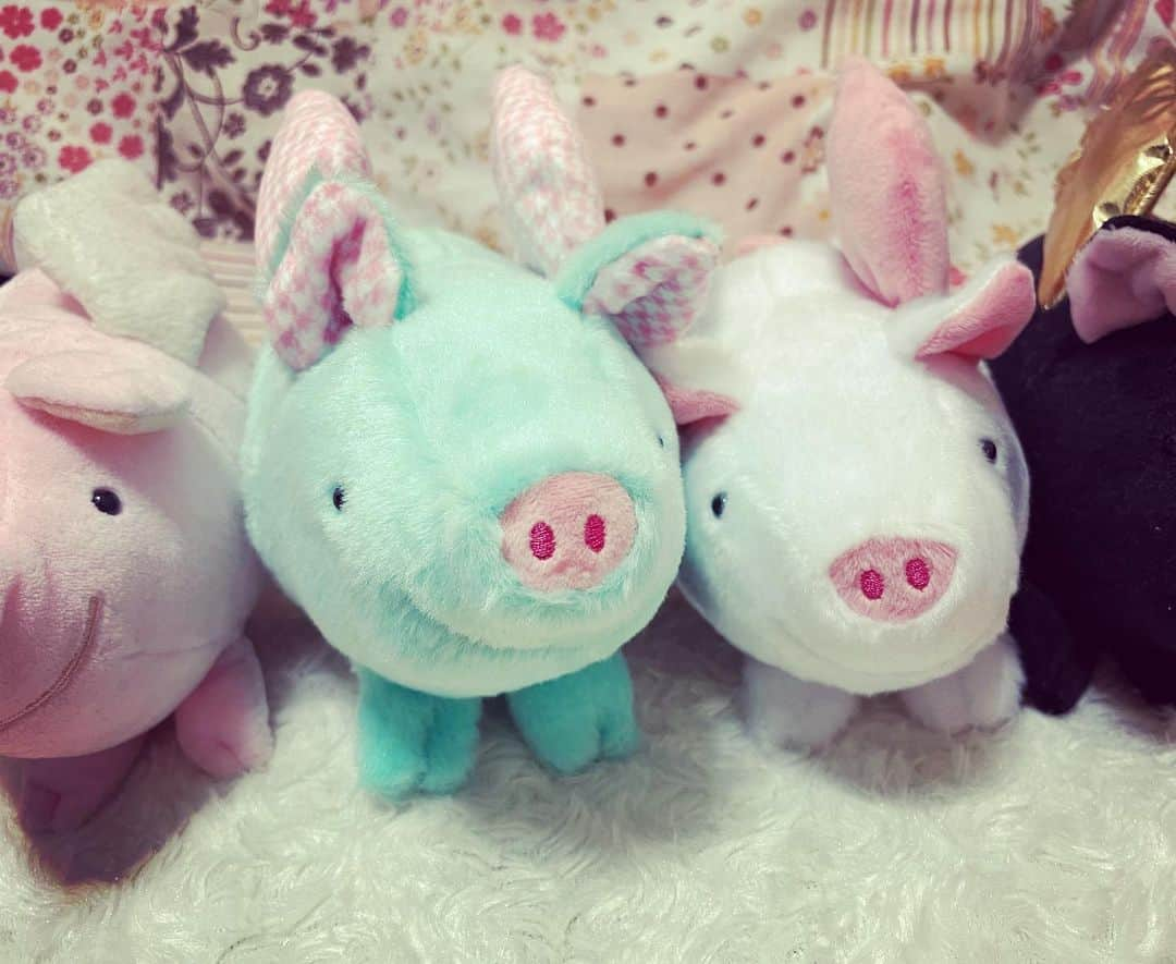 大森美優さんのインスタグラム写真 - (大森美優Instagram)「今年のかわいい。🐷チョコにくっついてくるよ。来年のデザインも楽しみです。おやすみ…⭐💤 #ハッピーバレンタイン  #遅くにごめんね  #tuttobene さん🍫🐷 #おやすみなさい  #akb48」2月15日 0時39分 - omorimiyu