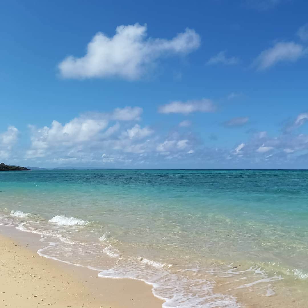石垣シーサイドホテルのインスタグラム：「おはようございます☀️  昨日の石垣島もお天気に恵まれました。 風が少しありましたが、海が綺麗に見える１日でした😊  水はまだ冷たいですが、ちょっと頑張ればウェットスーツ無しでいけそうです🐟  来月には海開きを迎える石垣島。 早く皆様にお会いしたいです💪  #沖縄　#沖縄旅行 　#八重山諸島 　#八重山　#石垣島　#石垣シーサイドホテル　#綺麗な景色　#青い海」