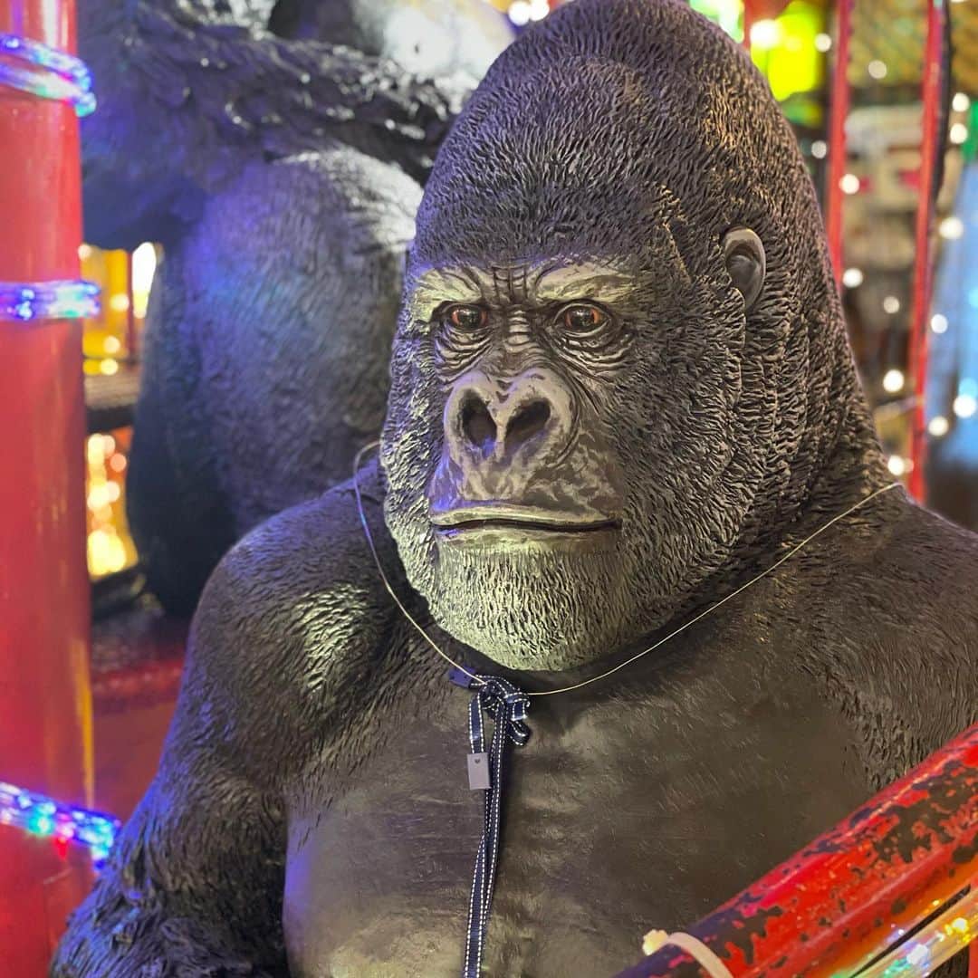 しばたありぼぼのインスタグラム
