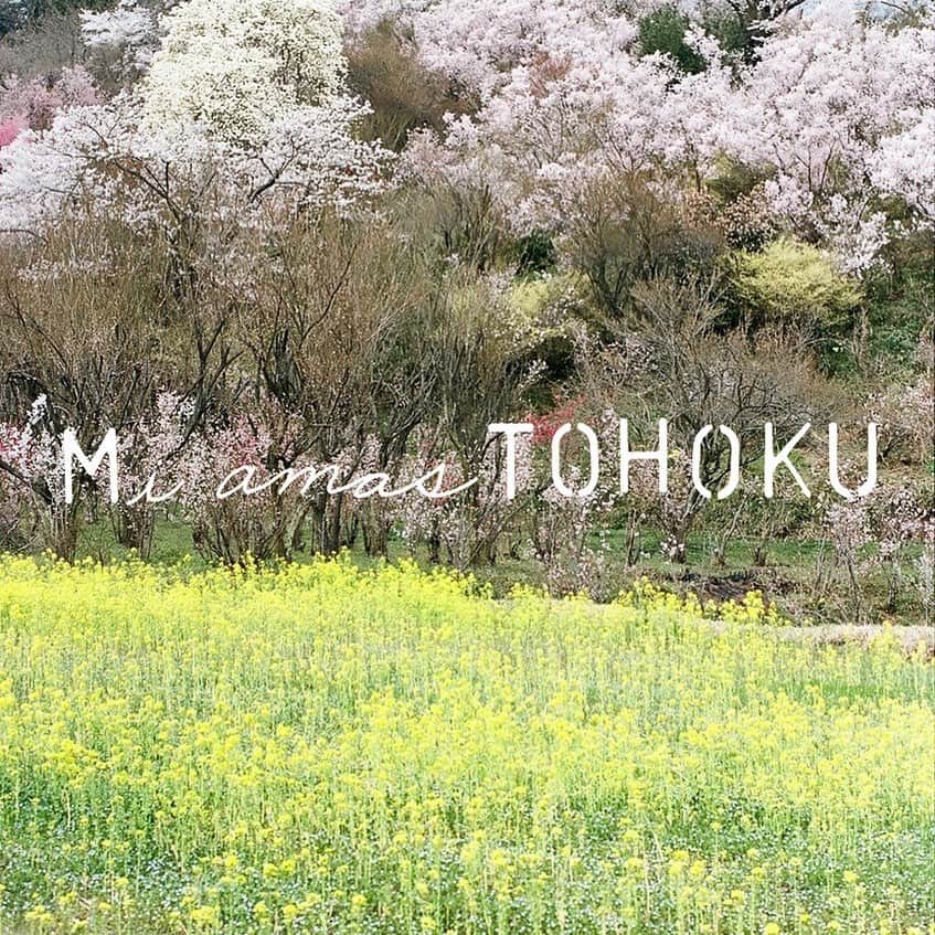小林エリカのインスタグラム：「今朝は雨ですね。 ちょうどMi amas TOHOKU 東北が好きの気持ちを伝えたくて2011年からの東北への旅で出会った人たちのことを話ていたところでまた地震があって。 どうか東北地方に暮らすひとりひとりの心と身体が穏やかでありますように。 @librodekvina  #miamastohoku」