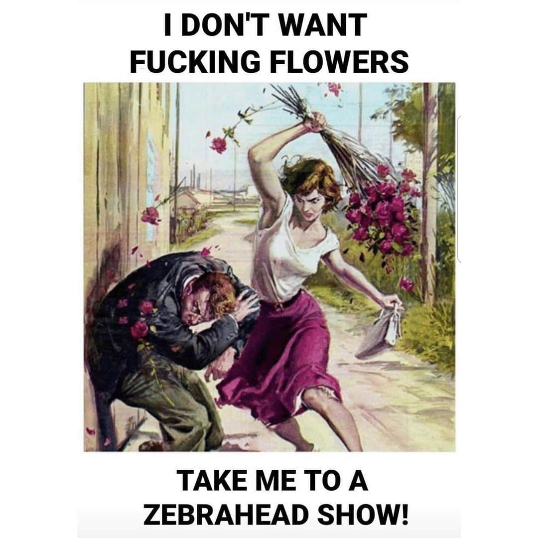 Zebraheadさんのインスタグラム写真 - (ZebraheadInstagram)「Is this true? Ha!!  #Zebrahead」2月15日 10時58分 - zebraheadofficial