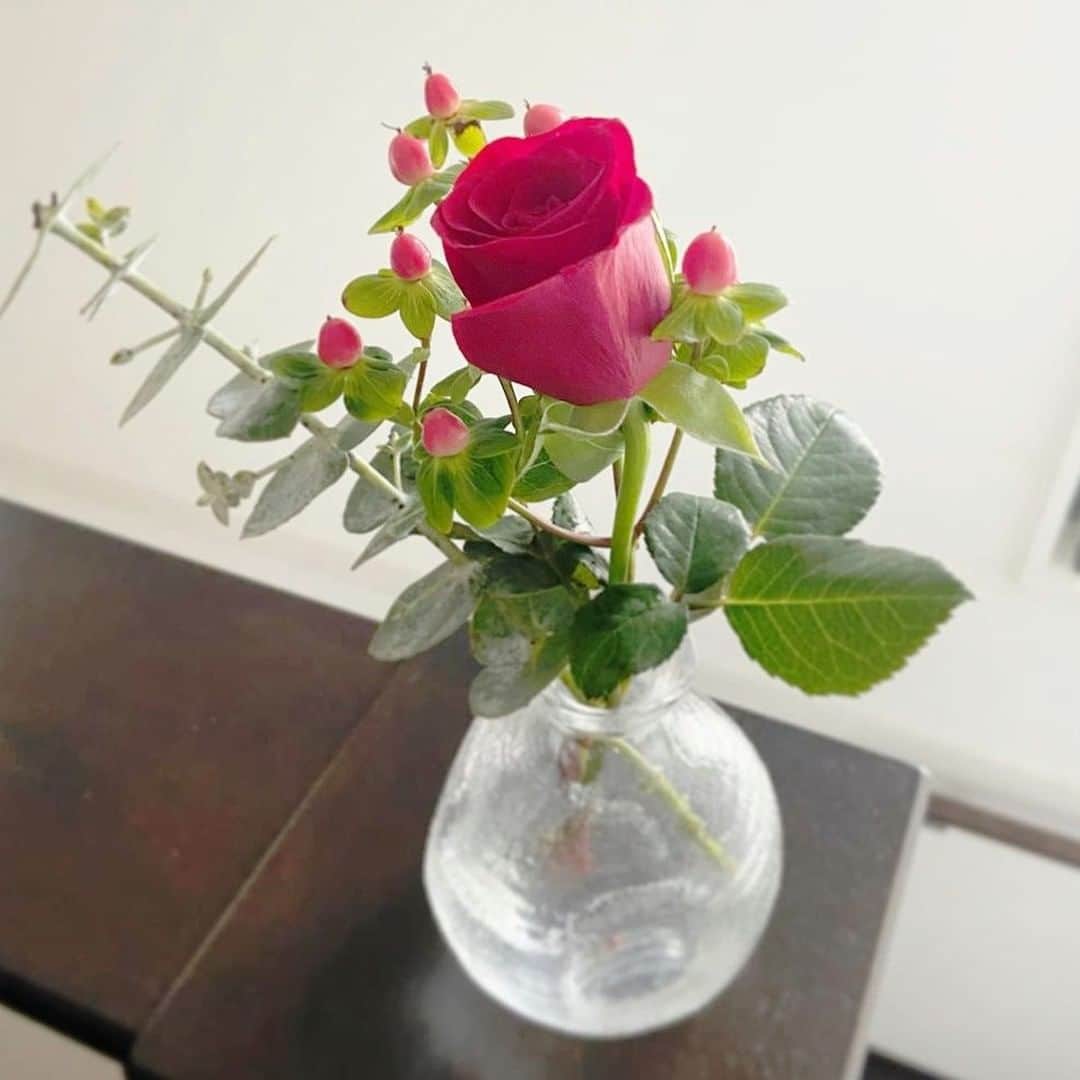 Bloomee LIFEさんのインスタグラム写真 - (Bloomee LIFEInstagram)「華やかで上品なバラは お部屋が一気に明るくなります🌹✨  お部屋のワンポイントにも◎  大輪のお花は 空間も見る人の気持ちも元気にしてくれます♪  @cccekaa さんのお写真  #bloomeelife#ブルーミーライフ#お花の定期便#プチブーケ#サブスク#花のある生活#花好きな人と繋がりたい#おうち時間#花部#花写真#花が好き#花を飾る#暮らしを楽しむ#日々の暮らし#丁寧な暮らし#日々#お花のある暮らし#素敵な休日#暮らしを整える#くらしのきほん#日々の暮らしを楽しむ#丁寧に暮らす#おうち時間#インテリアフラワー#ナチュラルインテリア#豊かな暮らし」2月15日 11時00分 - bloomee