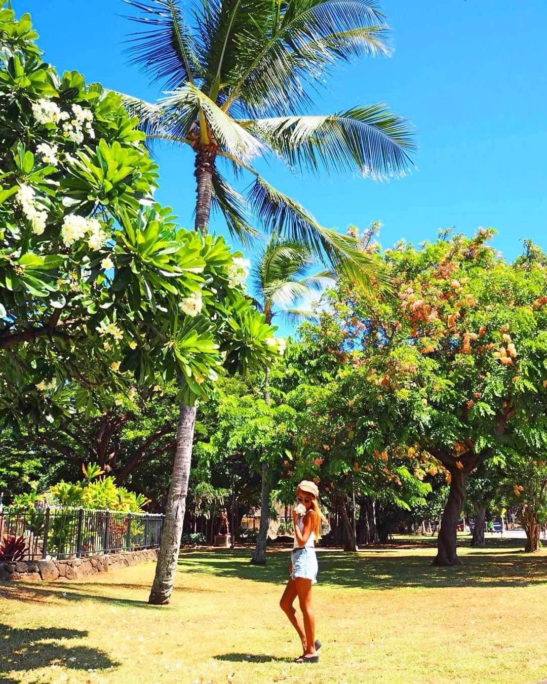 shihoのインスタグラム：「🌼🤍🌼🤍🌼 ・ 時期によってたくさんのお花が咲くHawaii。 南国のお花って 色鮮やかでかわいくてはっぴーな 気分になれちゃうよね🥰💛 ・ Hawaiiは景色に 夢中になってしまいがちだけど、 足元にはたくさんプルメリアが 落ちていたり足元も見逃せない♡ ・ #hawaii#islandofoahu#oahu#ハワイ#trip #オアフ島#travel#loco_hawaii#travel_jp #funtorip#タビジョ#旅MUSE#genic_travel #genic_mag#たびねす#旅行#genic_hawaii #honolulu#waikiki#ワイキキ#park#oahuhawaii #tabijyomap_hawaii#lealeahawaii#2021」