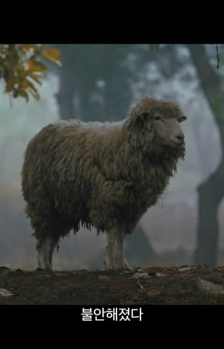のインスタグラム：「풍광이 아름답지요..🐑 3.18일에 개봉합니다 🤭  @greennaraemedia」