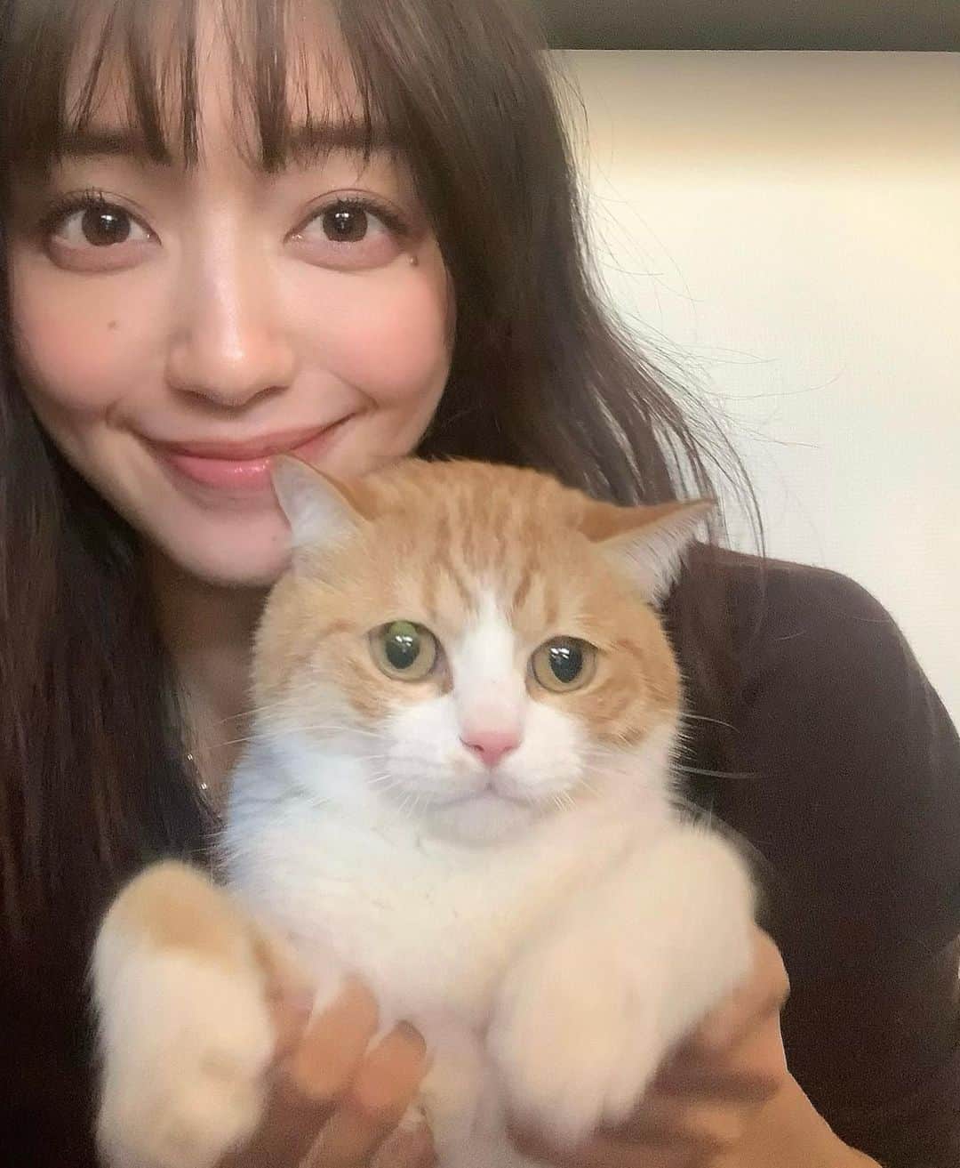 のインスタグラム：「: おはようございます♡ #月曜の花 を抱っこ嫌いな ごろりんと撮ってみました🤳🏻 これは一瞬の奇跡の1枚です🐈 それ以外は大体2枚目の様になります😓笑 ちょっと不満そうな顔してますが💦 がんばってくれました🐾 : 土曜日の深夜の地震はもうすぐ10年になる 東日本大地震の余震のようですね。 3.11のような揺れで、このままどんどん強く なっていくんじゃないかと本当に怖かったです。 玄関のドアを開けたりとテキパキ動く予定が、 結局怖くて何にも出来なくて、気がついたら テーブルの下に入っていました。 コロナで大変な時に、これ以上大きな地震が 起こりませんように...。 今週もがんばりましょう。 #goodmorning #monday #月曜の花　 #愛猫 #ごろりん #保護猫」