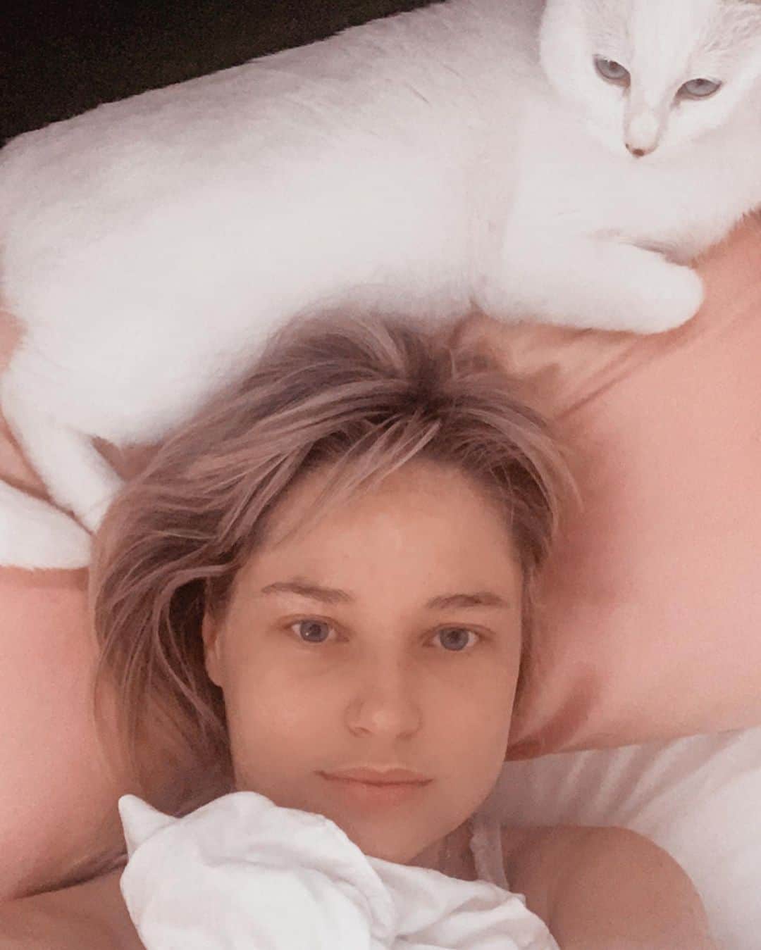 ジェネビーブ・モートンのインスタグラム：「Princess Patti and me on a pink pillow 😻 #sleepytime」