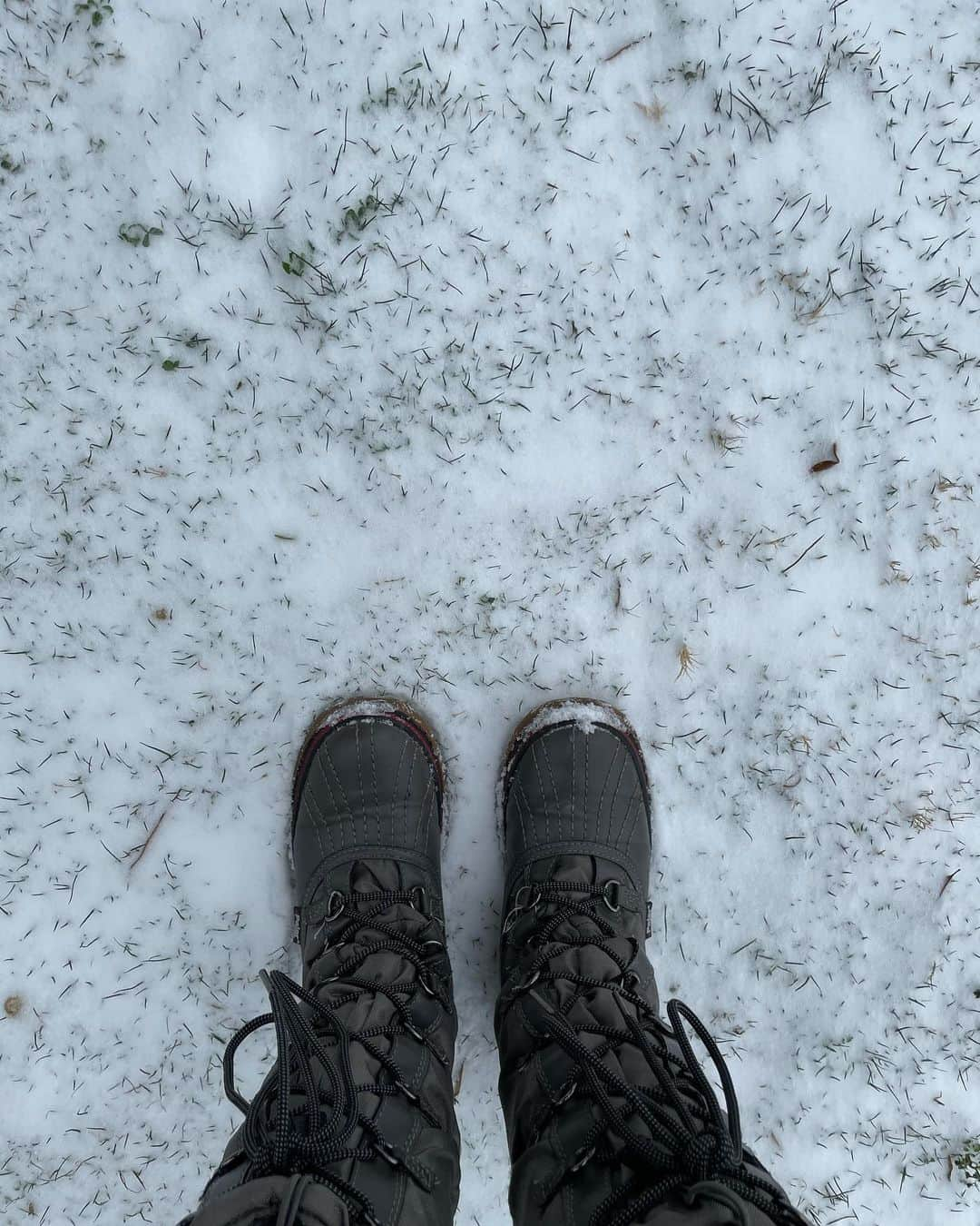 ブルックリー・ハンさんのインスタグラム写真 - (ブルックリー・ハンInstagram)「❄️So who do I contact to cancel my subscription to winter? ❄️  All week I have been writing articles about February being the start of spring in North Texas, I guess Mother Nature wanted to prove me wrong.」2月15日 3時07分 - brookleeh95