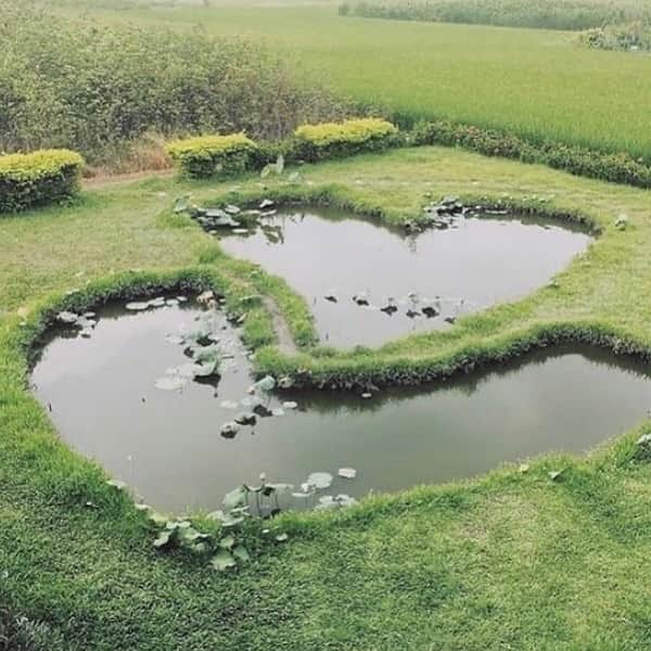 グラフ&ランツのインスタグラム：「💚 all around us #valentinesday」