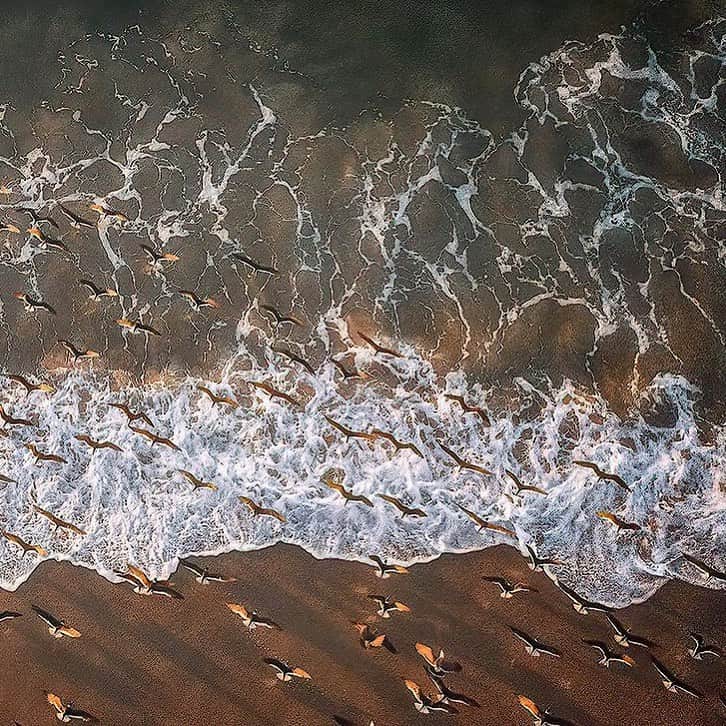 シービーズのインスタグラム：「Sending everyone big love from our happy place to yours ❤️  Photo from @johnbaranart」