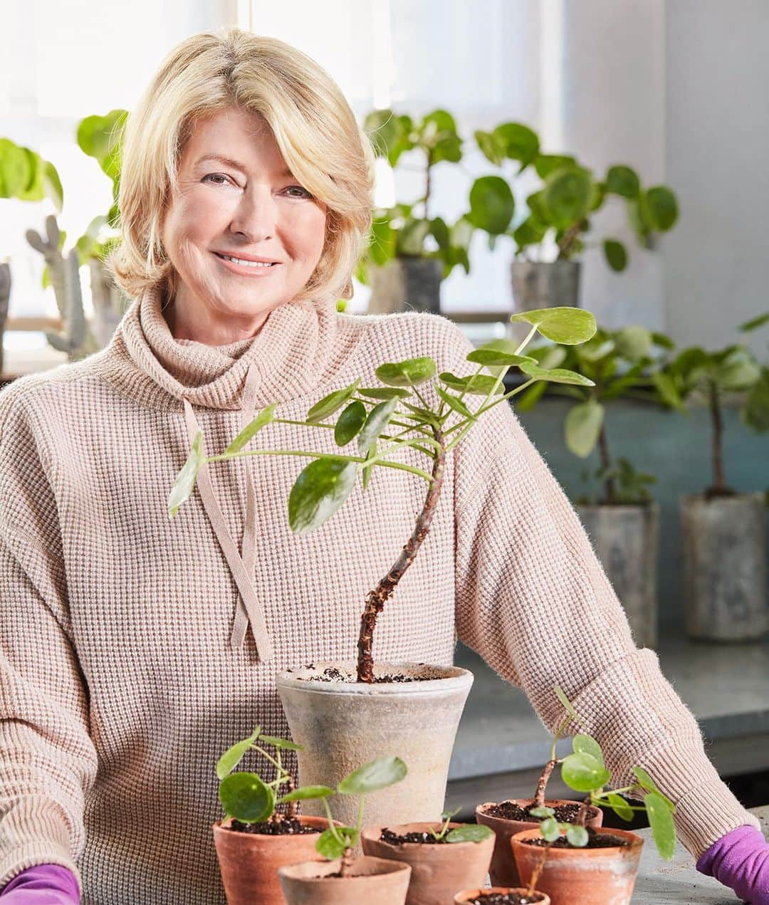 マーサ・スチュワートさんのインスタグラム写真 - (マーサ・スチュワートInstagram)「@marthastewart48’s Bedford greenhouses are a hive of activity all winter long. She spends hours in them, happily nurturing, repotting, and propagating her houseplants so they can spread their roots and flourish. In our March issue, our founder gives us a peek inside and shares her techniques for keeping the varieties she loves on the up-and-up. "To keep everything looking its best, my two garden helpers, @ryanmccallister1 and Brian, and I spend a week every few months repotting and propagating various specimens when they outgrow their containers, or have produced plantlets that can be divided," says Martha. Check out the full feature in our new March issue out on newsstands or by visiting the link in bio. 📷: @minh_ngoc 💄: @daisybeautytoye」2月15日 3時50分 - marthastewart