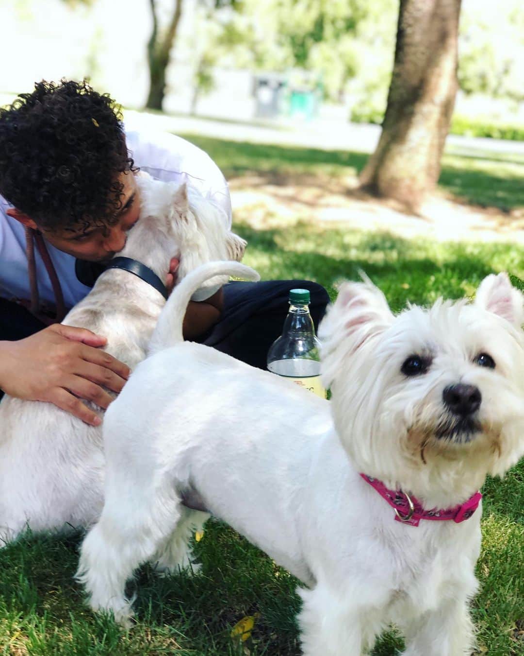クラウディオ・リースのインスタグラム：「Feliz día a mis 3 amores ❤️ @crisantivil @facuemiwestie」