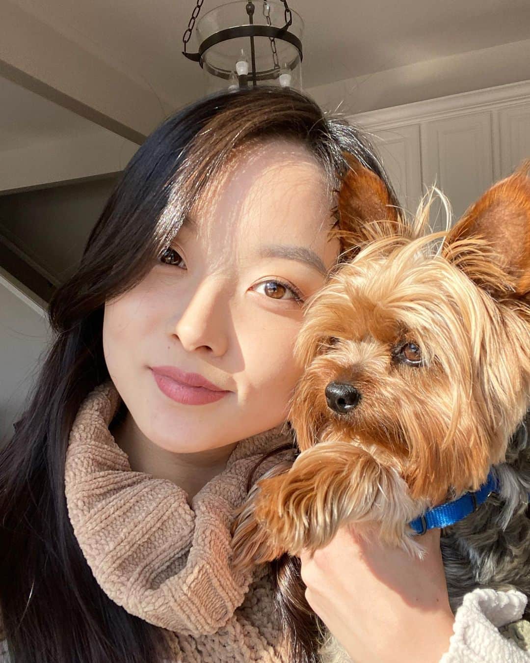 ミン・ユラのインスタグラム：「Happy Valentine’s Day ❤️ #valentine #doggo #biggiesboutique」