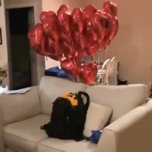 animalsのインスタグラム：「For everybody in a relationship take notes for Valentines Day next year.. ❤️ Happy Valentine's Day to all! 🙂 Video by: @gamezjake」