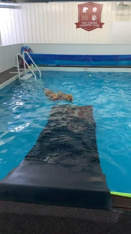モヒートのインスタグラム