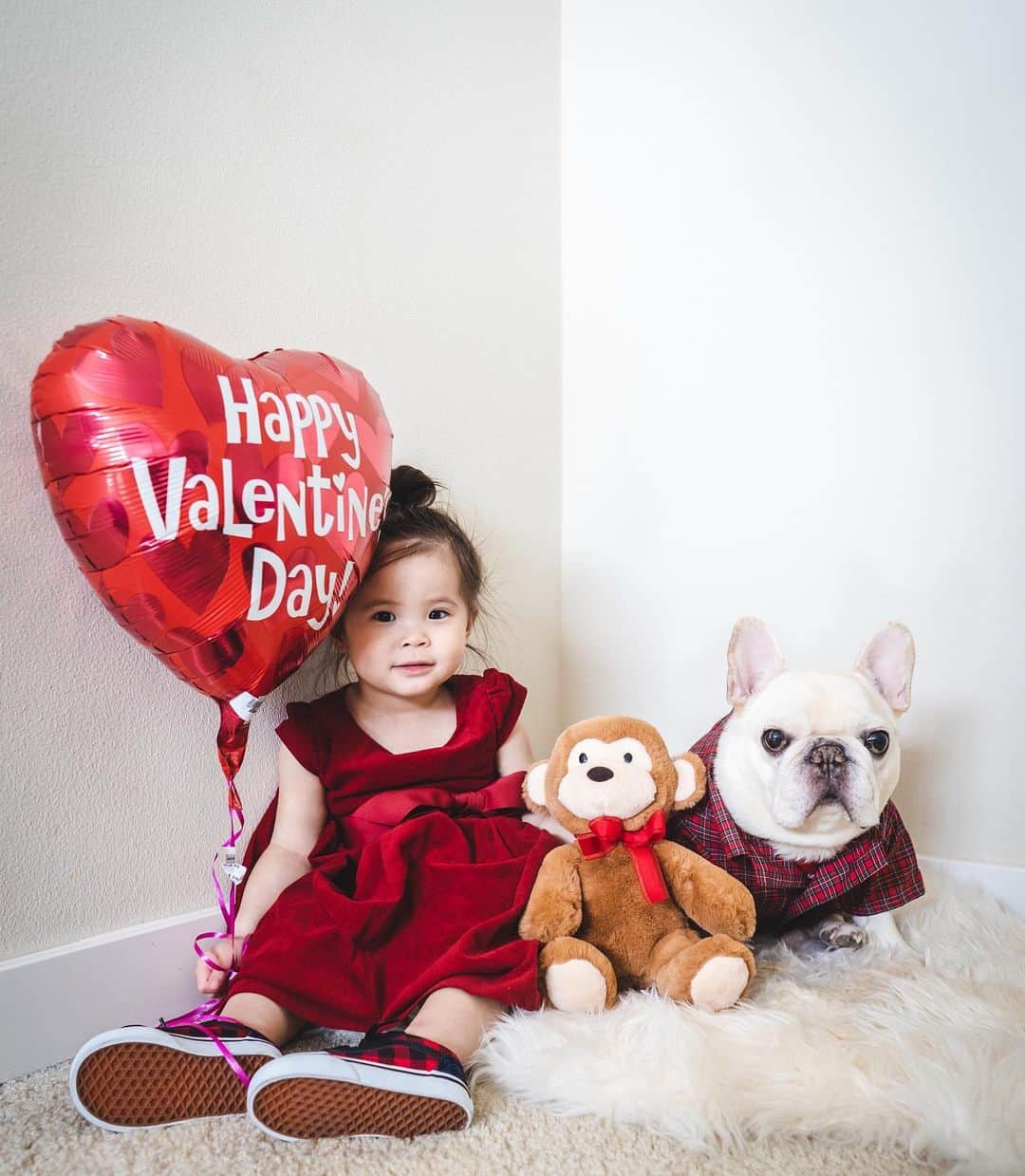 Sir Charles Barkleyのインスタグラム：「Happy Valentine’s Day from sissy and I ❤️ it’s snowing in Seattle so we’re spending the day snuggling and making snow Frenchies.」